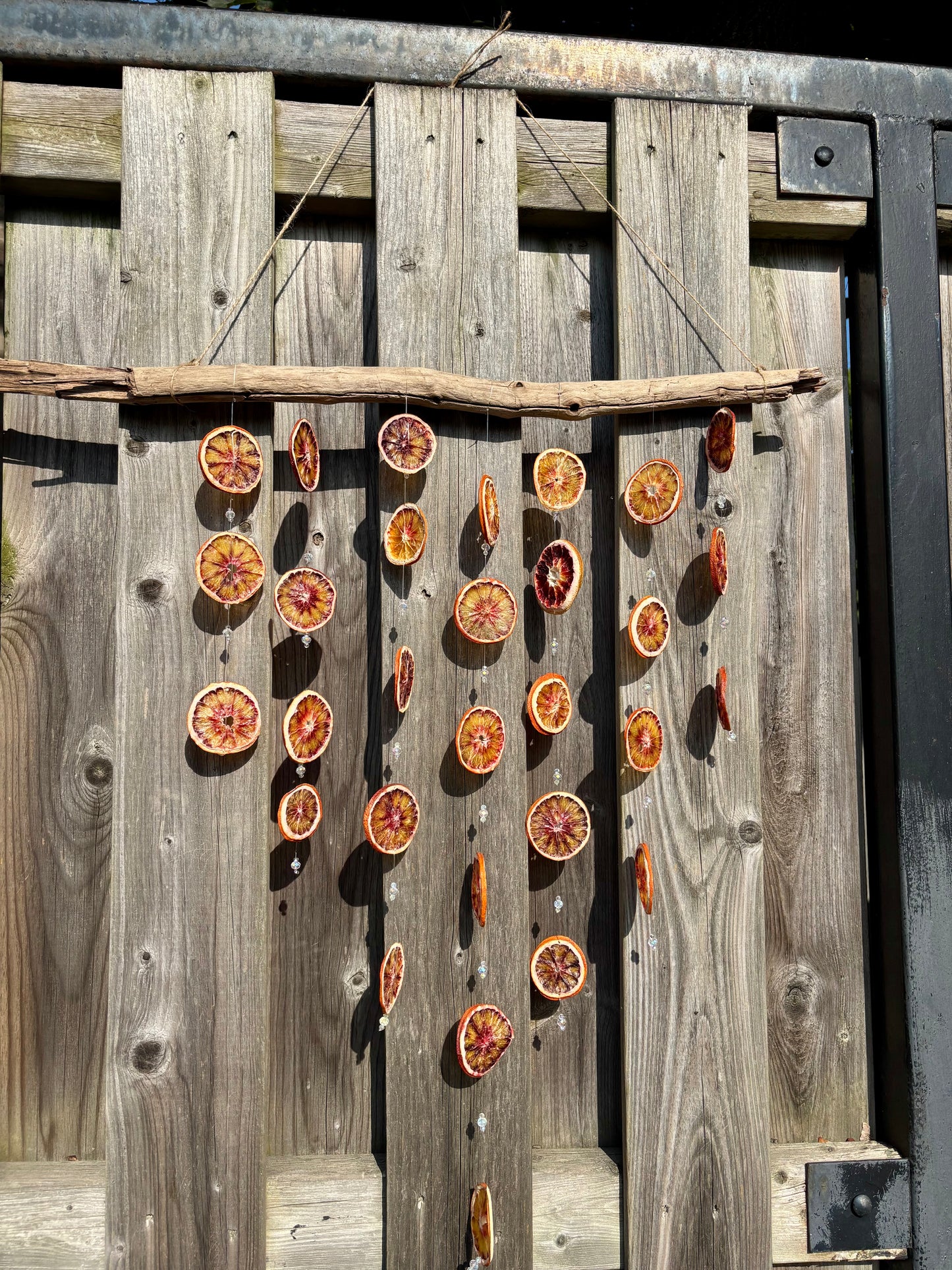 Citrus Sun Catcher