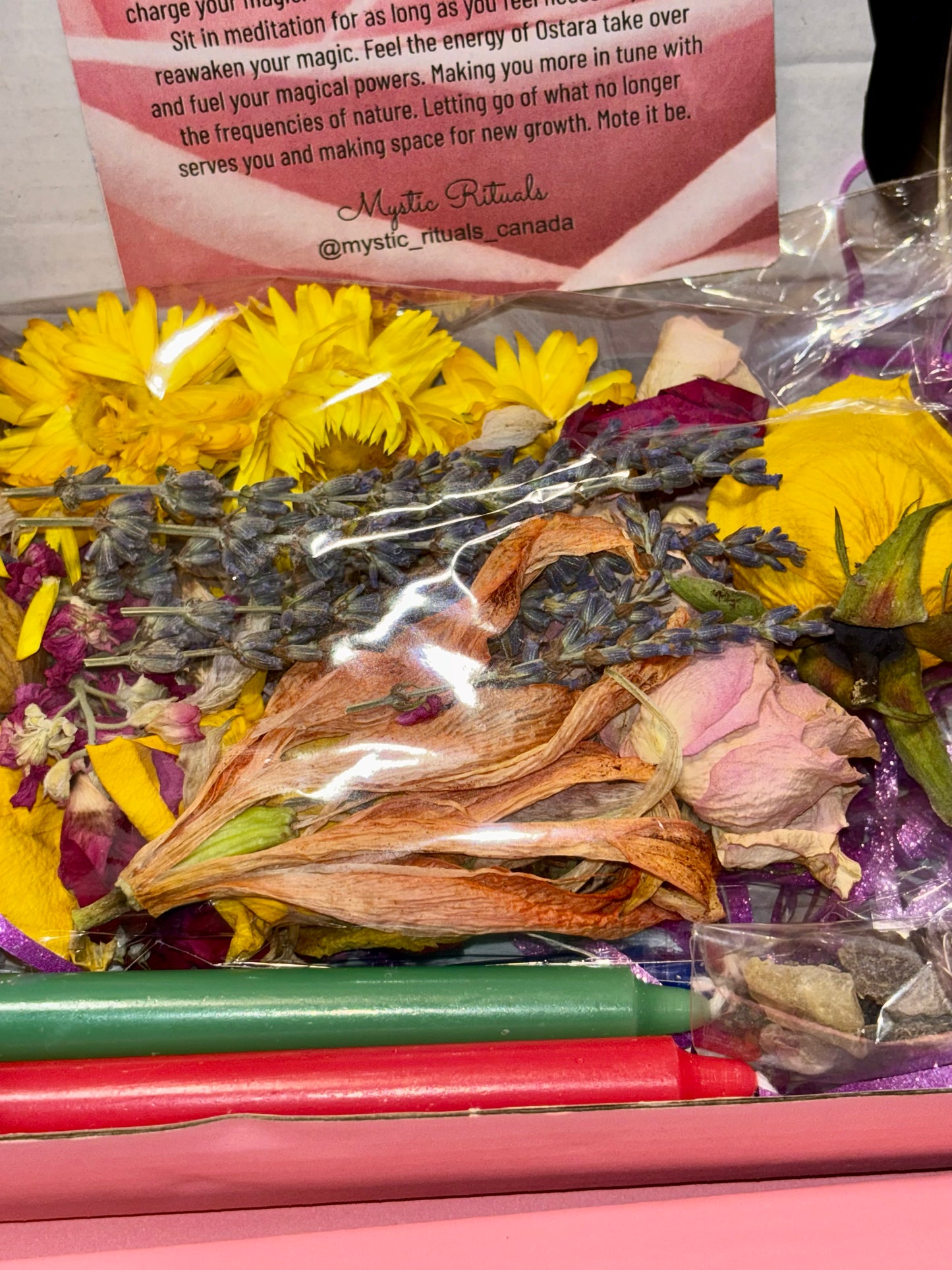 Flower Meditation